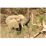 Benin23.JPG