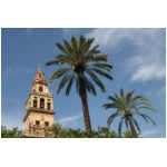 es_and_C_Mezquita04.jpg