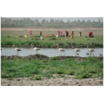 Rajasthan_06.jpg