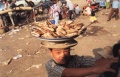 thm002_C0003.jpg