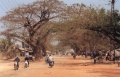 thm006_C0010.jpg