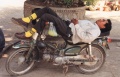 thm011_C0015.jpg