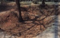 thm014_C0018.jpg
