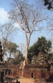 thm026_C0035.jpg