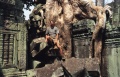 thm027_C0036.jpg