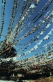 thm018_Nepal0024.jpg