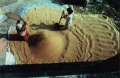 thm019_Nepal0025.jpg