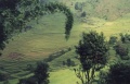 thm036_Nepal0049.jpg