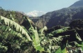 thm093_Nepal0117.jpg