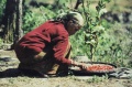 thm095_Nepal0118.jpg