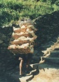 thm097_Nepal0121.jpg