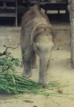 thm103_Nepal0128.jpg