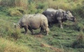 thm104_Nepal0129.jpg