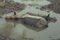 thm105_Nepal0130.jpg