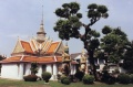thm001_T0002.jpg
