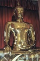 thm006_T0010.jpg