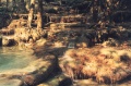 thm058_T0078.jpg