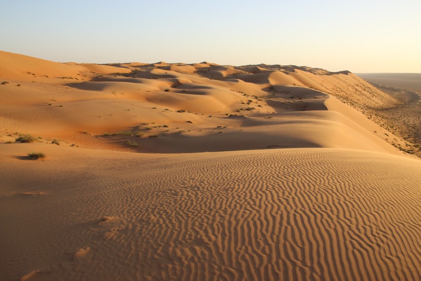 Desert / Wahiba Desert /  / OMN